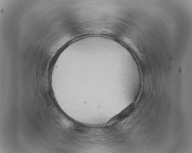 X0000089361071200707061043