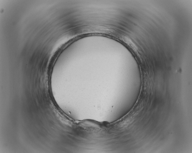 X0000089361072200707061043