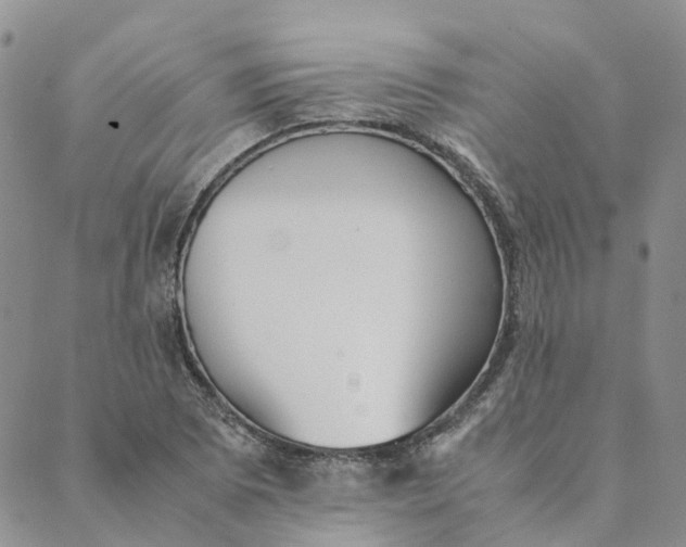 X0000089361073200707061043