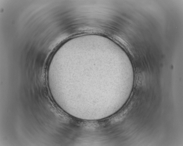 X0000089361074200707061043