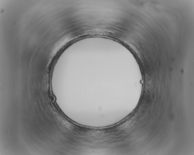 X0000089361075200707061043