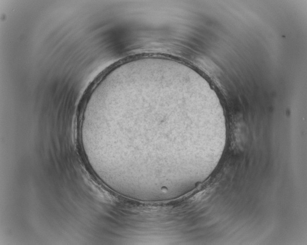 X0000089361076200707061043