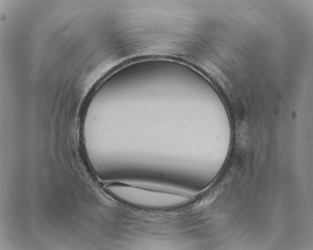 X0000089361077200707061043