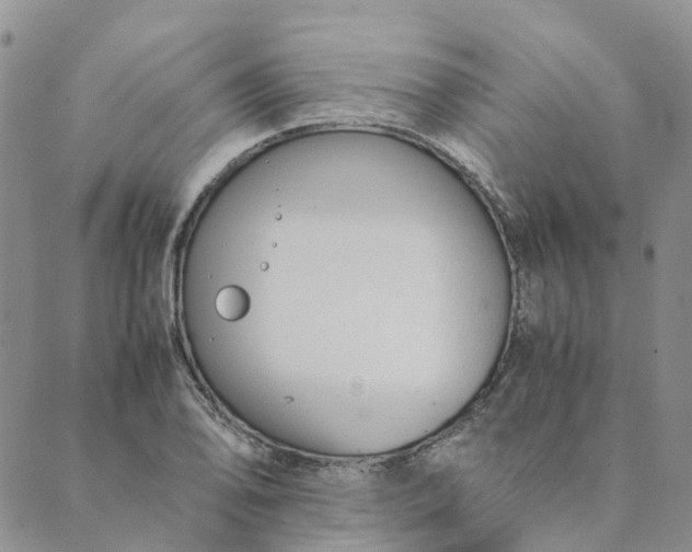 X0000089361078200707061043