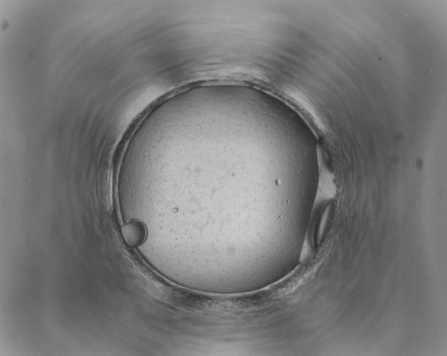 X0000089361079200707061043