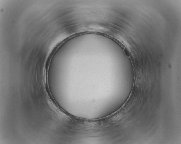 X0000089361080200707061043