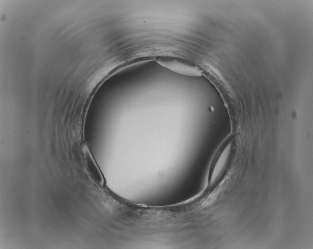 X0000089361081200707061043