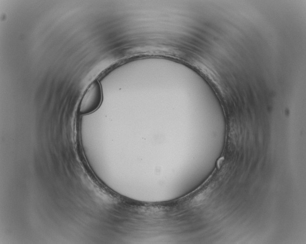 X0000089361082200707061043