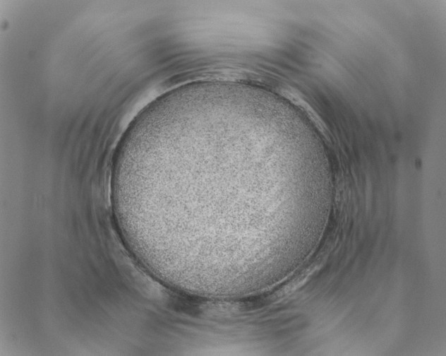 X0000089361083200707061043