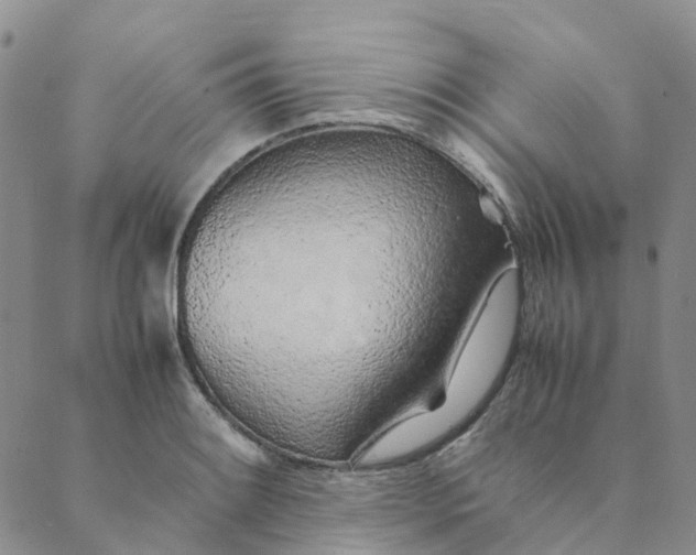 X0000089361084200707061043