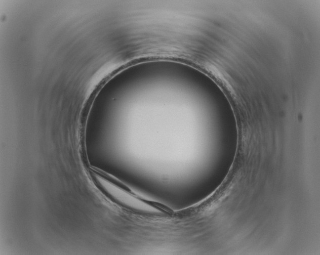 X0000089361085200707061043