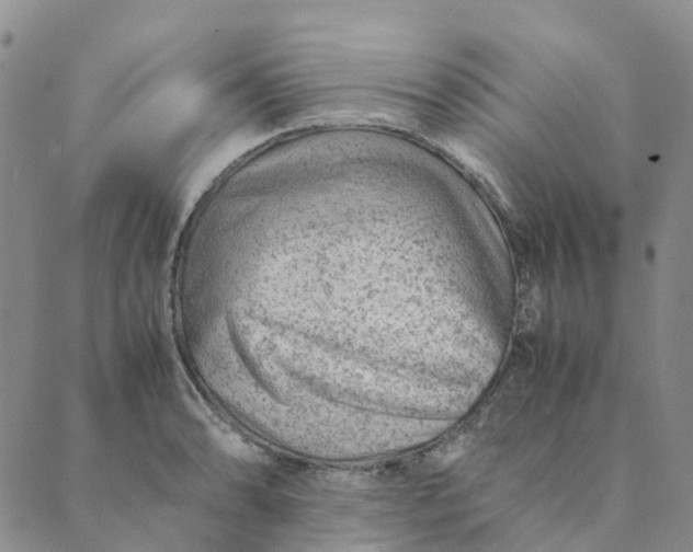 X0000089361086200707061043