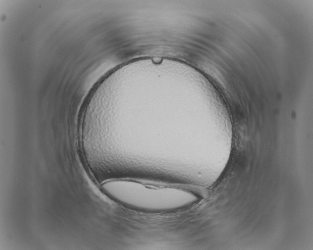 X0000089361087200707061043