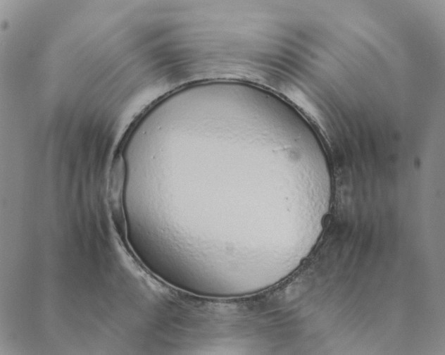 X0000089361088200707061043