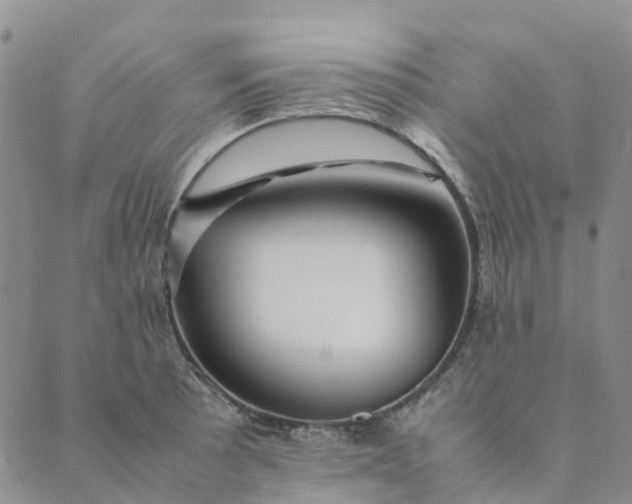 X0000089361089200707061043