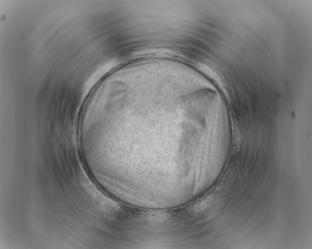 X0000089361090200707061043