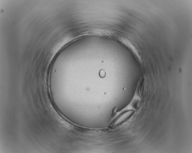 X0000089361091200707061043