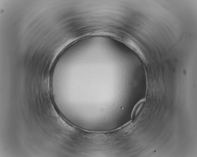 X0000089361092200707061043