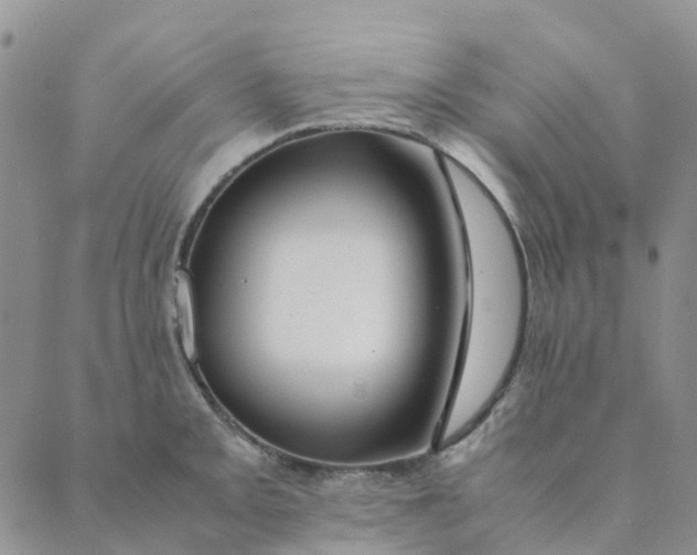 X0000089361093200707061043