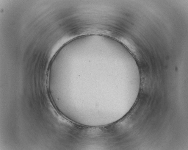 X0000089361094200707061043