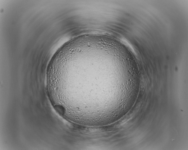 X0000089361095200707061043