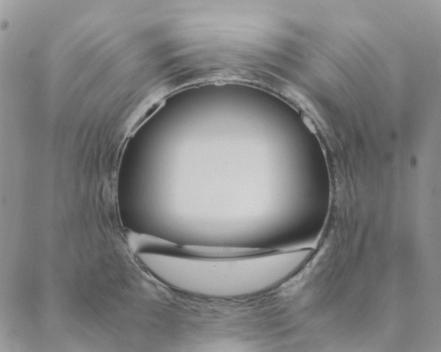 X0000089361097200707061043