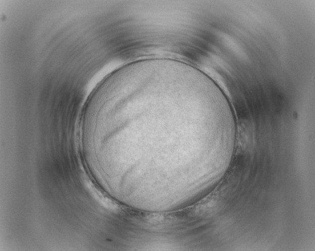 X0000089361098200707061043