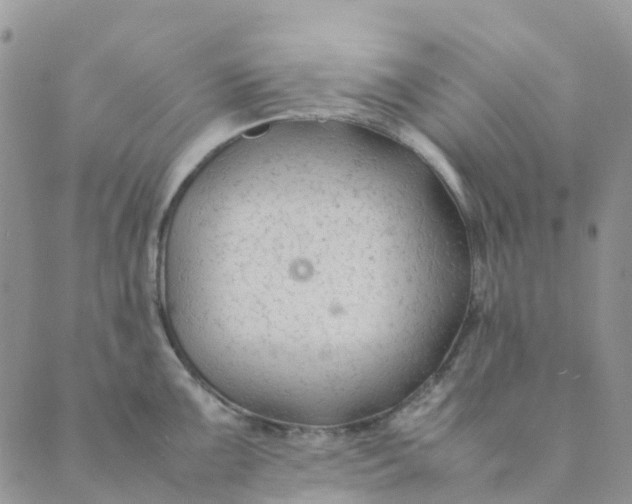 X0000089361099200707061043