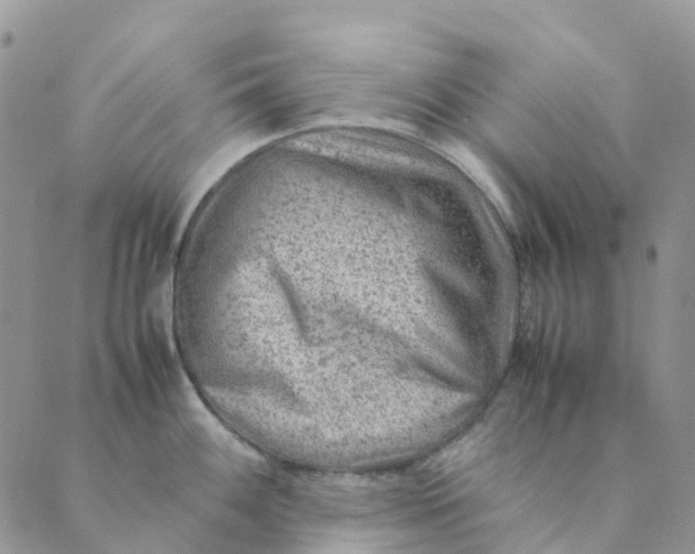 X0000089361100200707061043