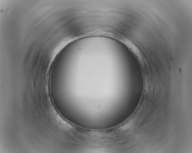 X0000089361102200707061043