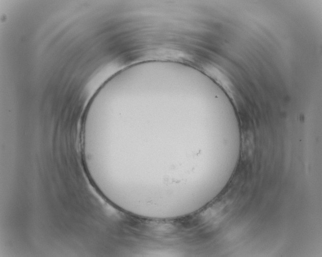 X0000089361103200707061043