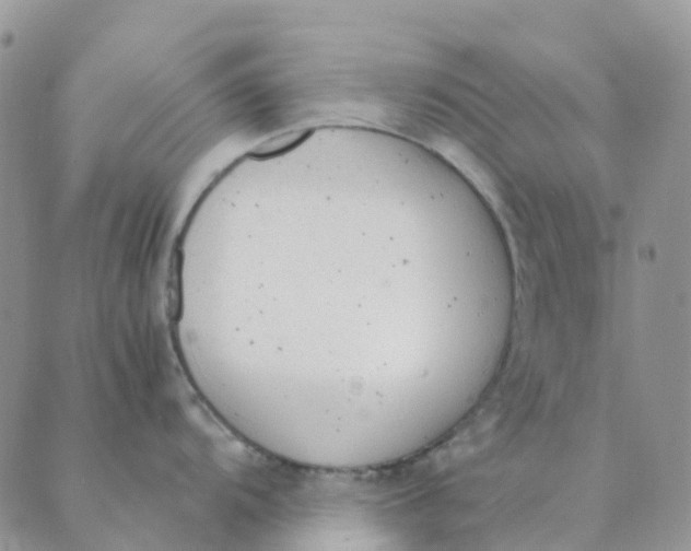 X0000089361104200707061043