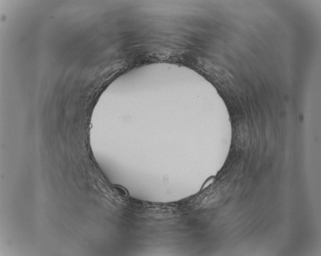 X0000089361105200707061042