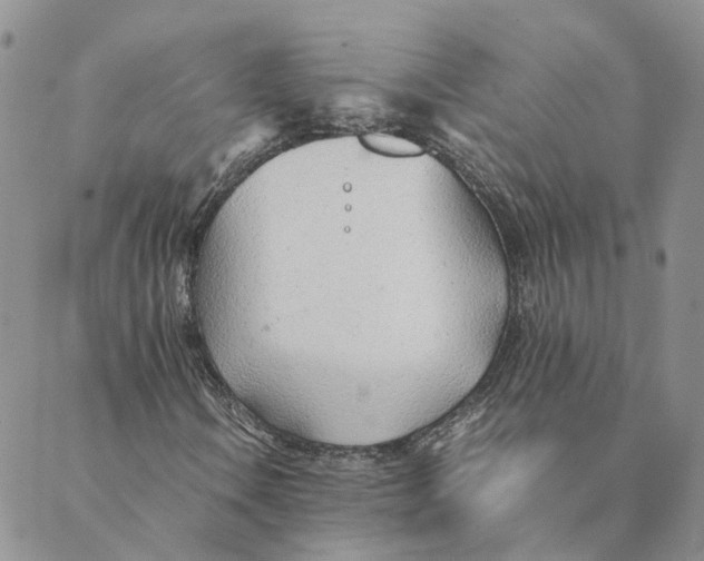 X0000089361106200707061042