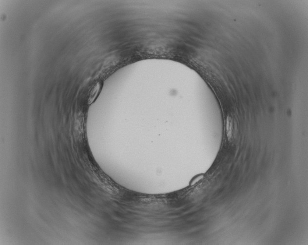 X0000089361107200707061042