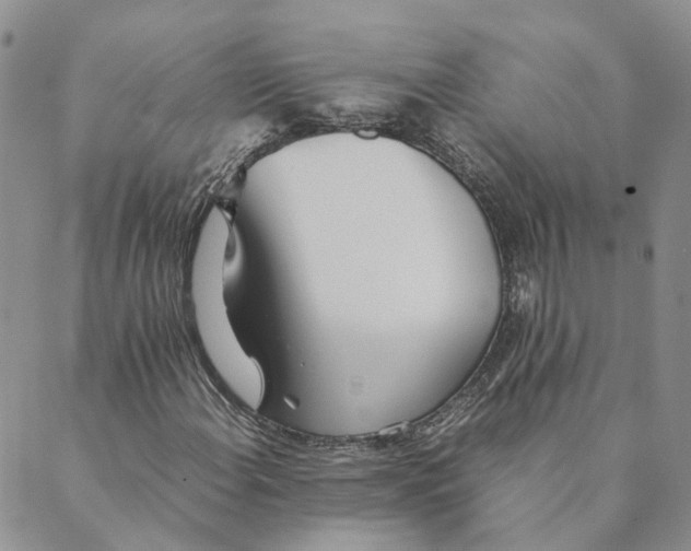 X0000089361108200707061042