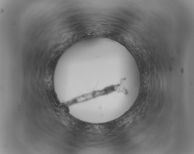 X0000089361109200707061042