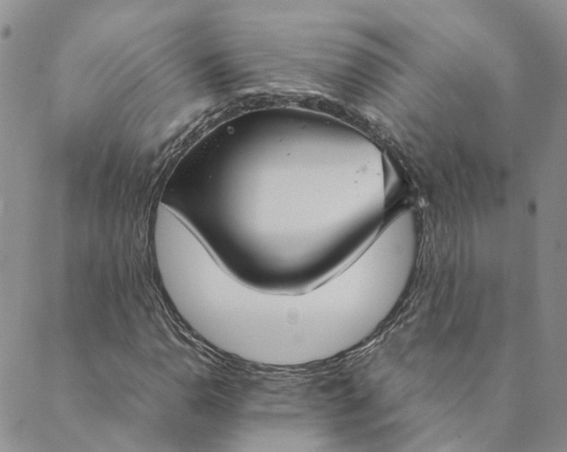 X0000089361110200707061042