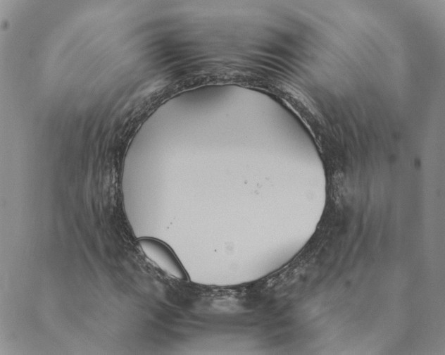 X0000089361111200707061042