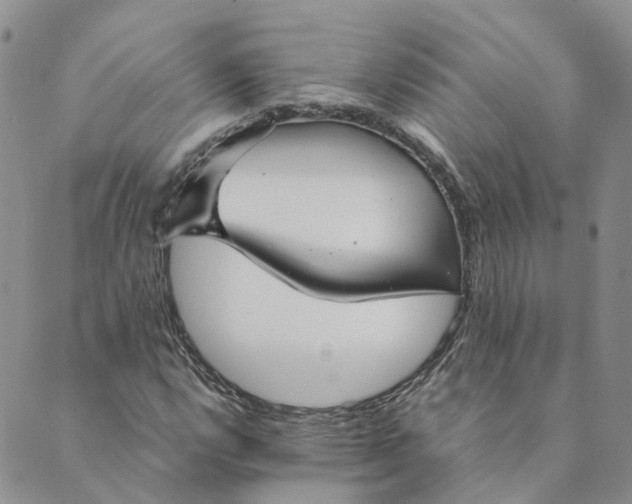 X0000089361112200707061042