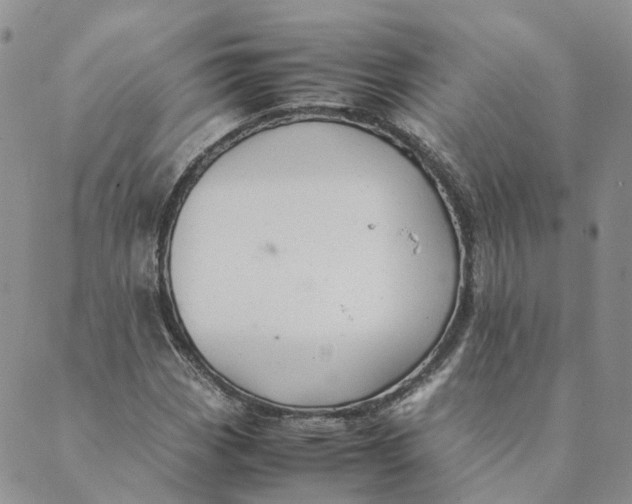 X0000089361113200707061042