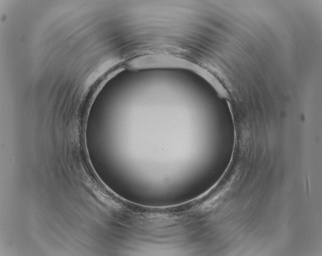 X0000089361114200707061042