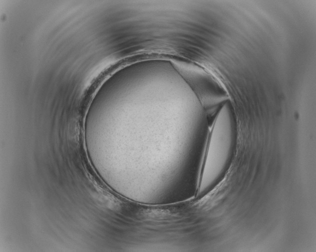 X0000089361115200707061042