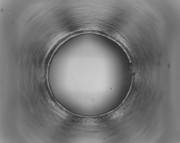 X0000089361116200707061042