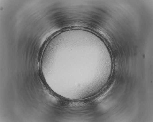 X0000089361117200707061042