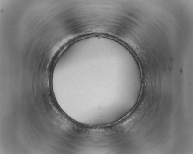 X0000089361118200707061042