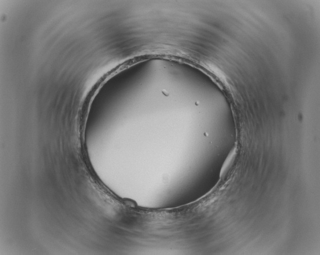 X0000089361120200707061042