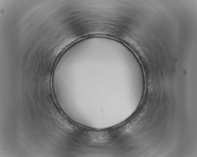 X0000089361121200707061042