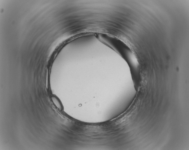 X0000089361123200707061042