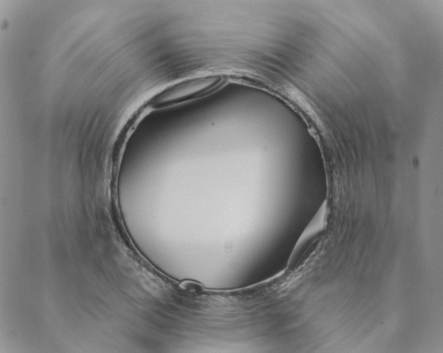 X0000089361124200707061042